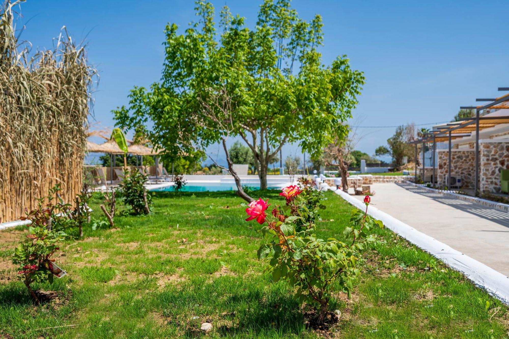 Homes Eva'S Garden, Poolside Cozy Havens In Kos Agios Dimitrios  Luaran gambar